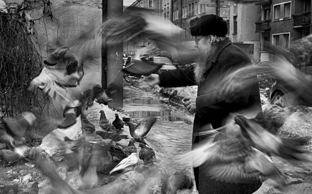 Angels of St. Petersburg