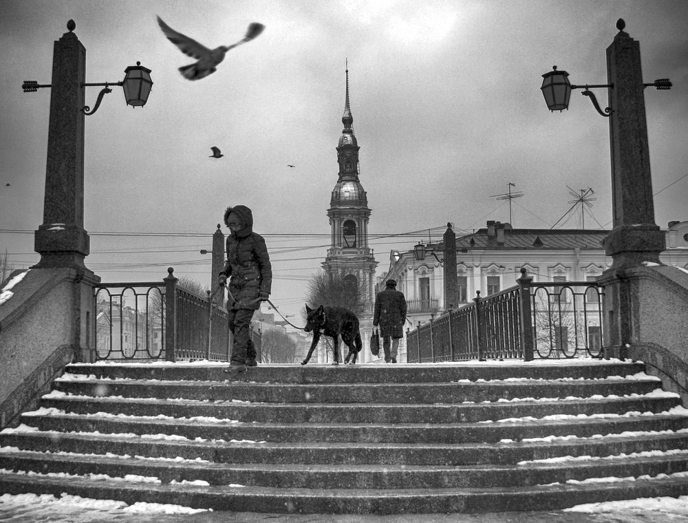 Photograph by Денис Никулин