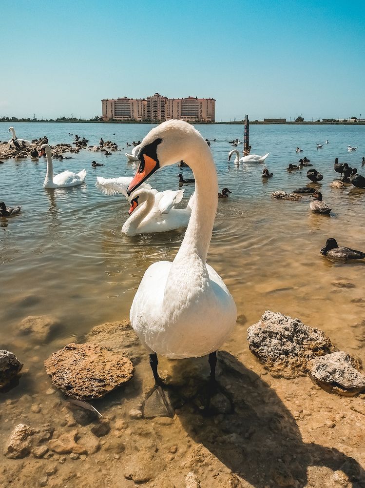 Photograph by Владимир Сараев