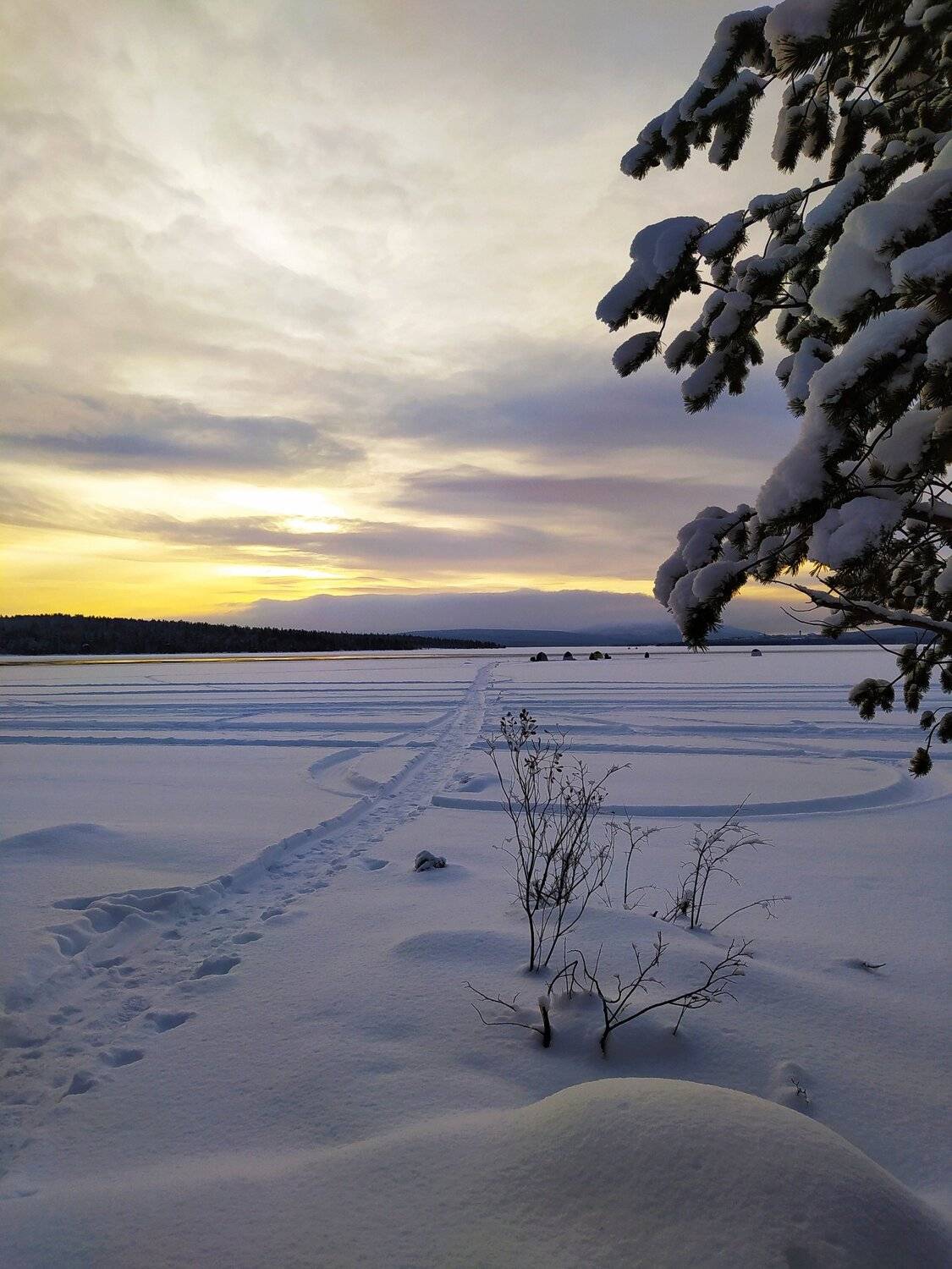 Photo #5917814
