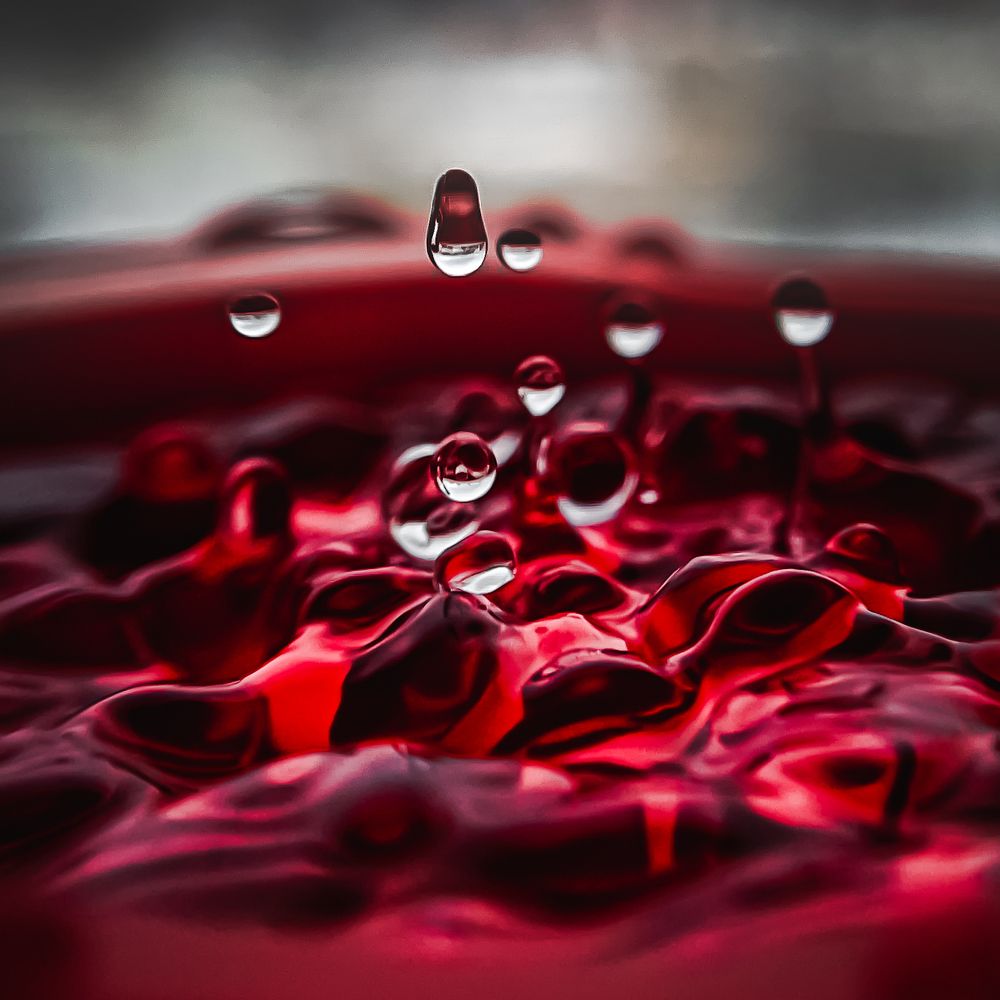 Photograph by Анастасия Арбузова