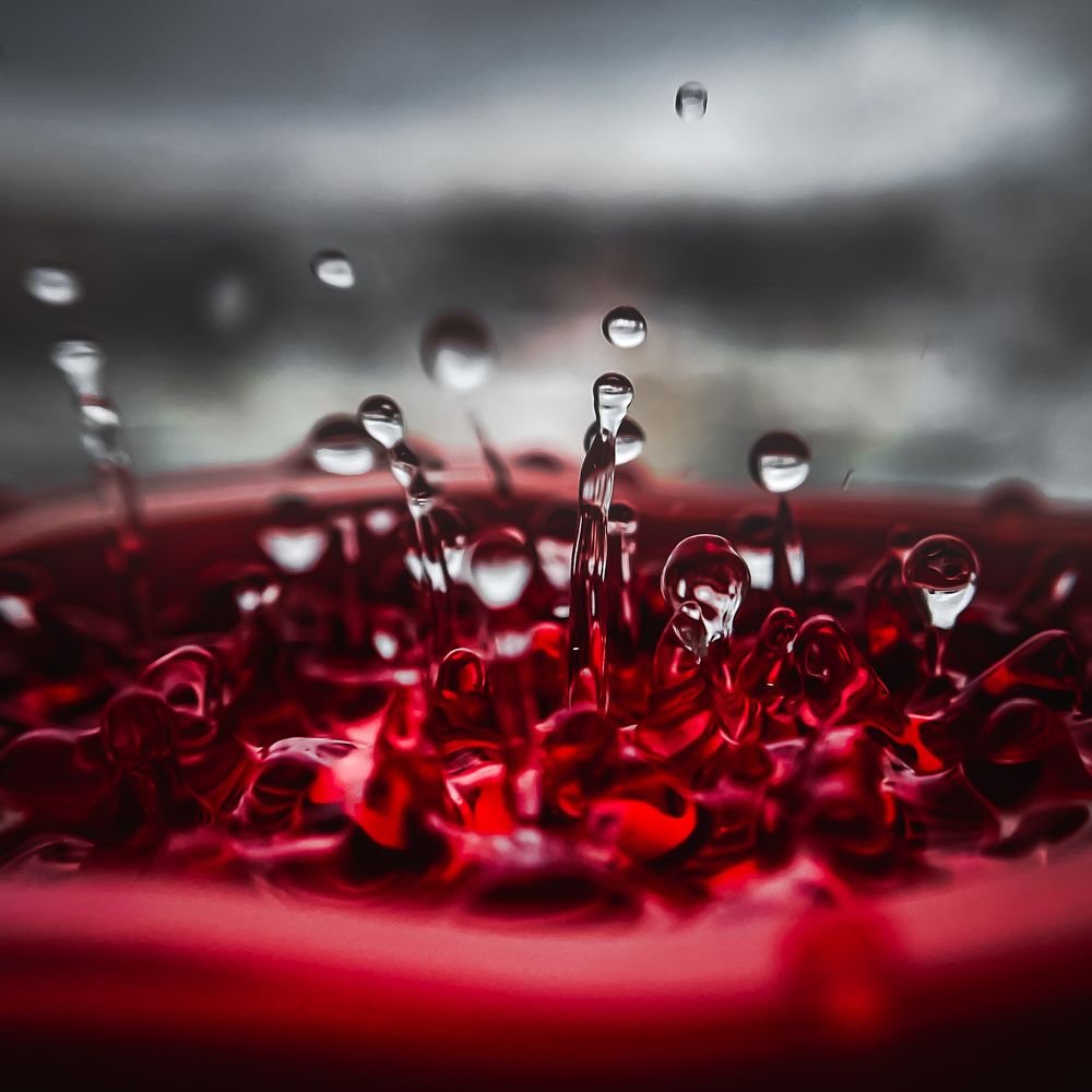 Photograph by Анастасия Арбузова