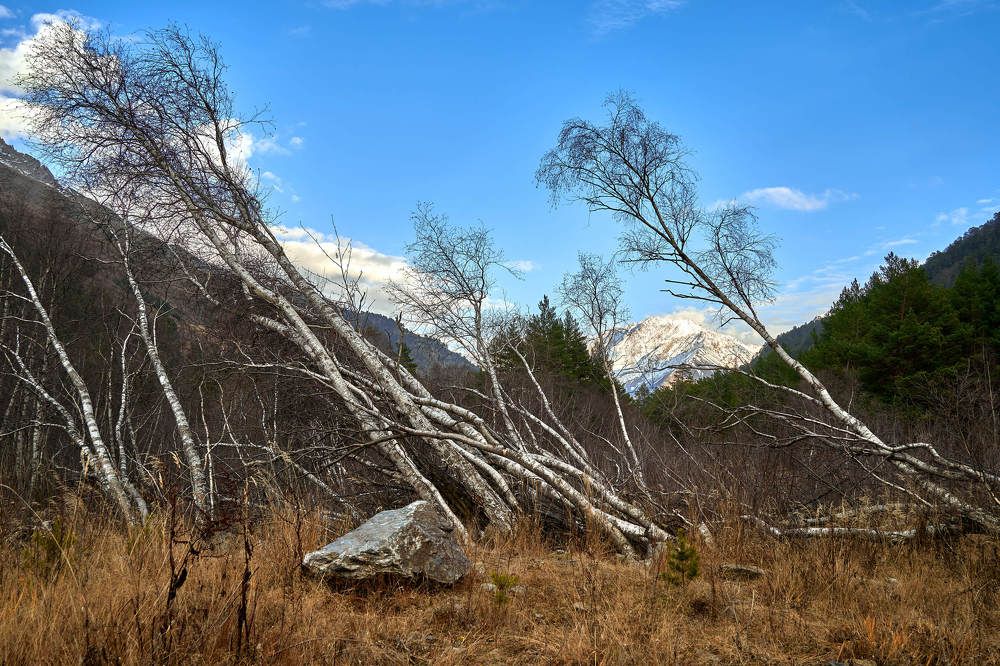 Photograph by Евгений Вологжанин