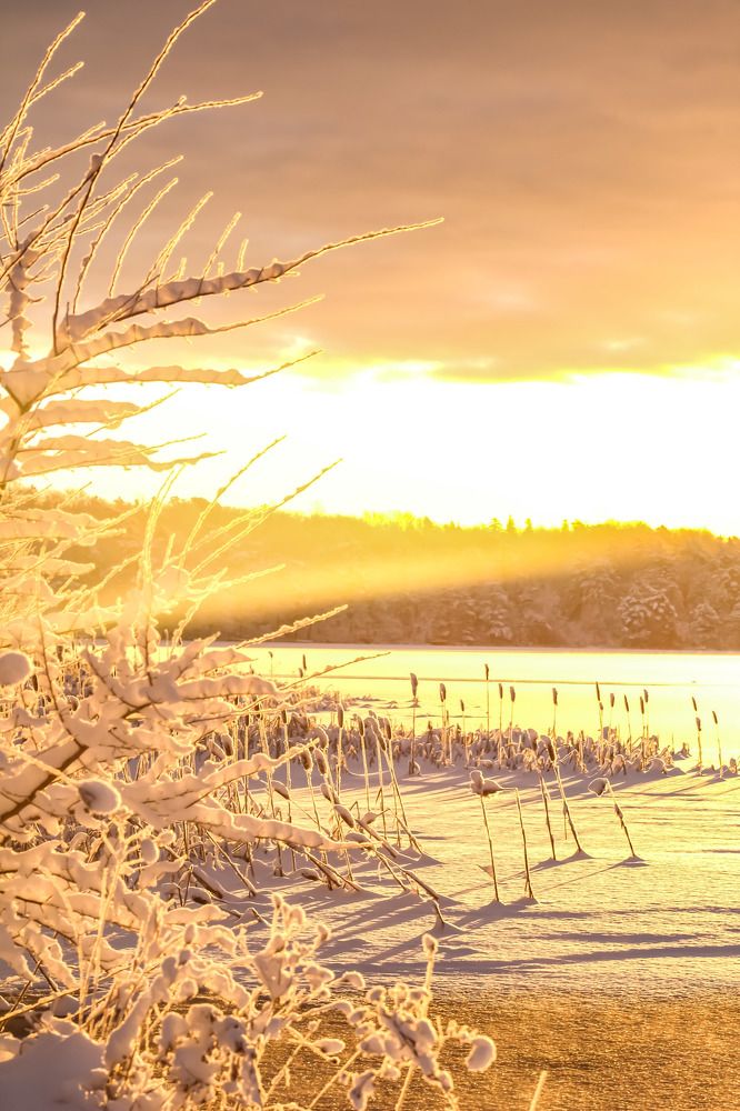 Photograph by Cindy Flick