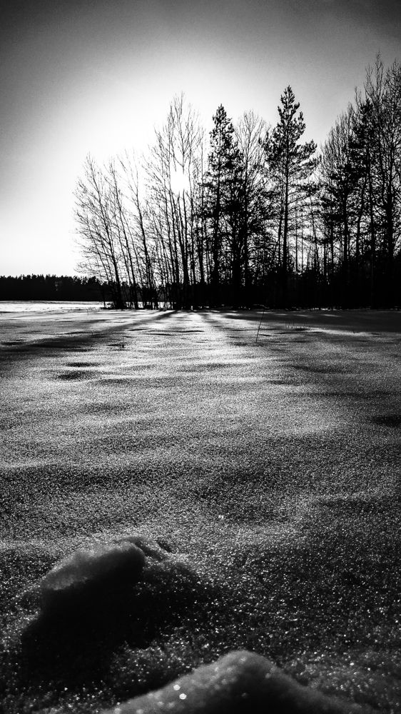 Photograph by Александр Казак