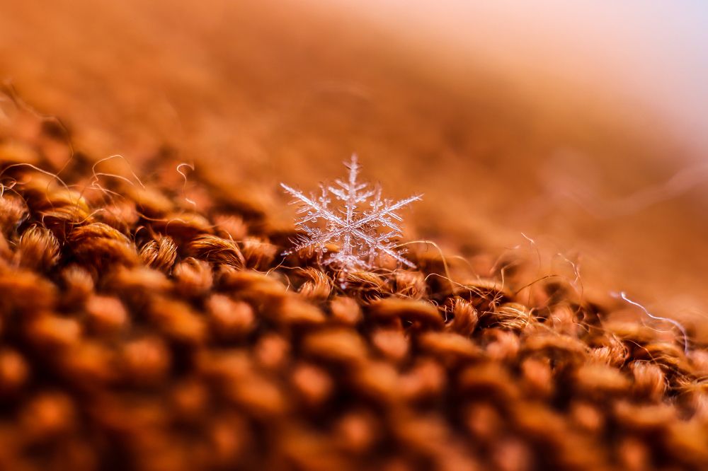 Photograph by Irina Chekanov