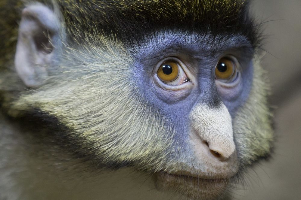 Photograph by Oleg Patrin