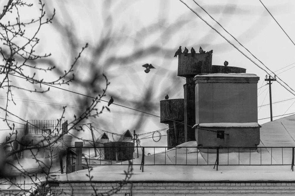 Фотография автора Тимур Разыков