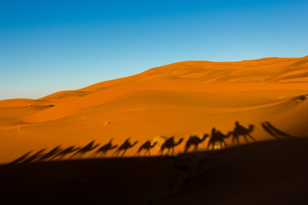 Photograph by Oleg Patrin