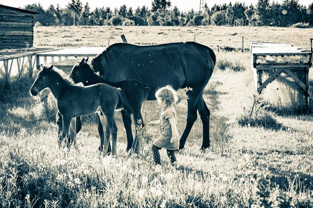 Photograph by Олга Колосова