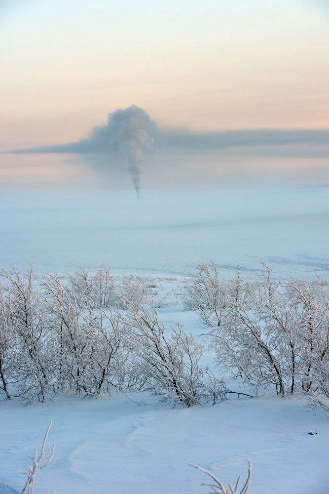 Photograph by Анна Кривицкая