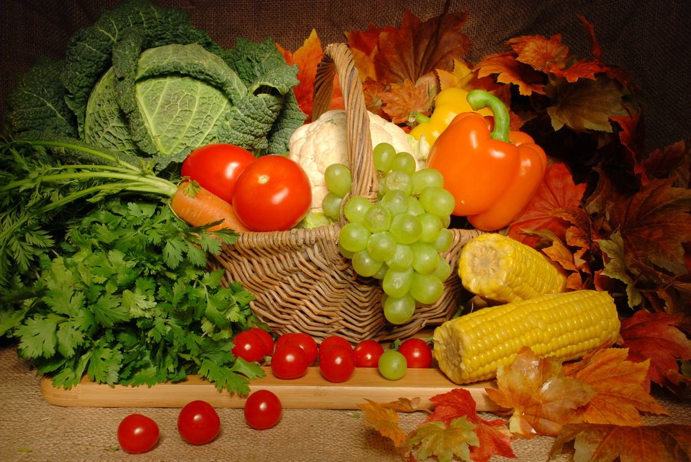 Фотография автора Regina Belomytseva-Dahan