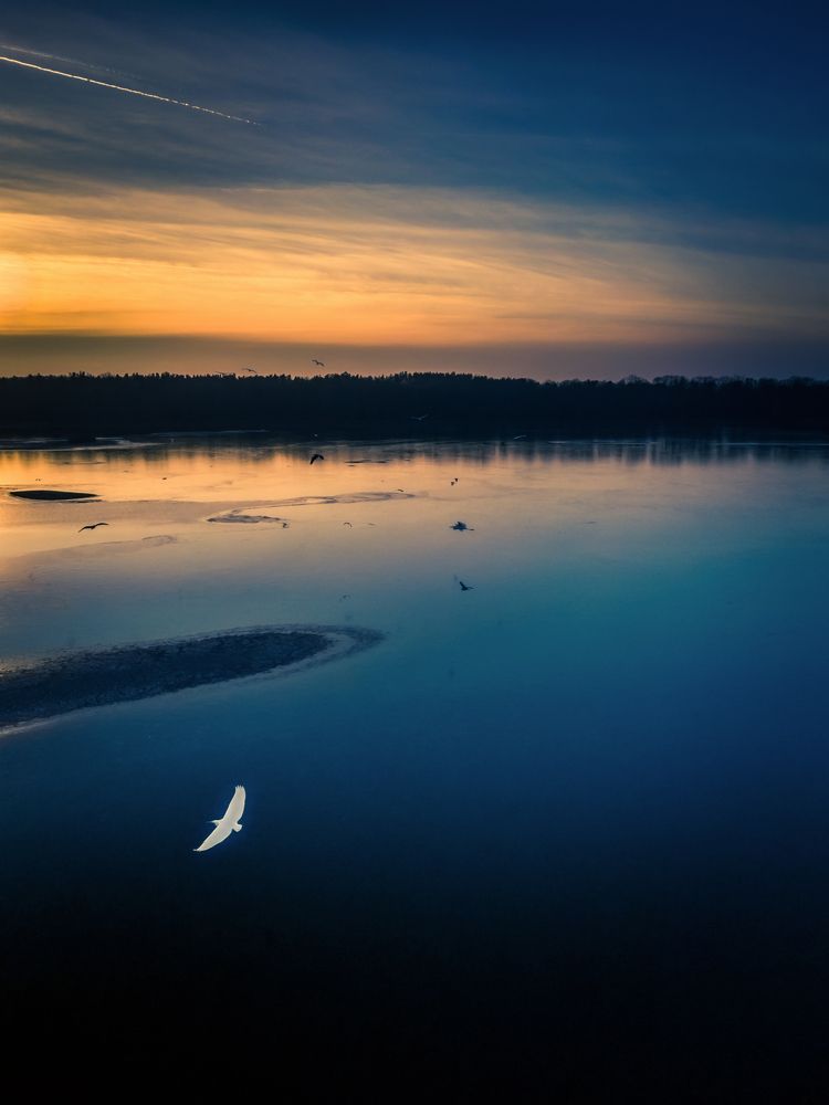 Photograph by Daniel Franc