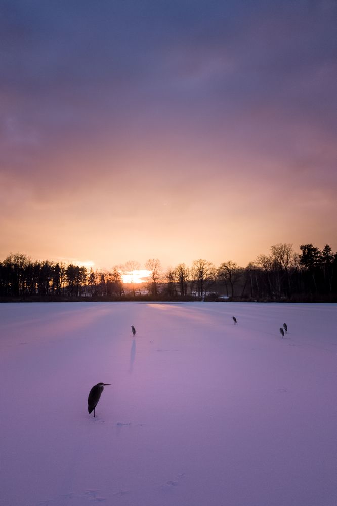 Photograph by Daniel Franc