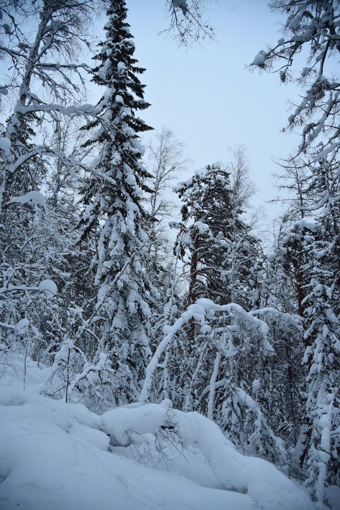 Photograph by Людмила Воропаева