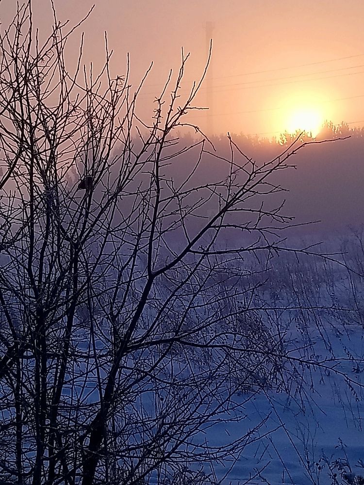 Photograph by Людмила Воропаева