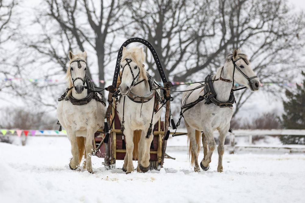 Photograph by Спесивцева Эльмира