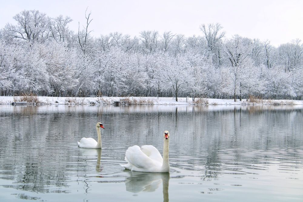 Photograph by Юлия Чурина