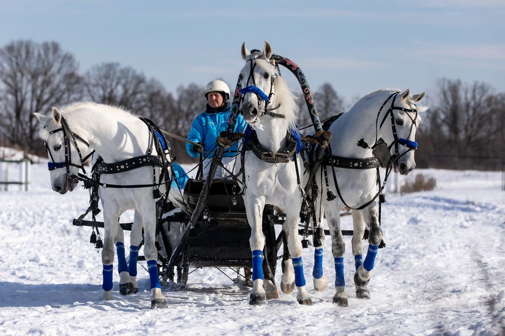 Photograph by Спесивцева Эльмира