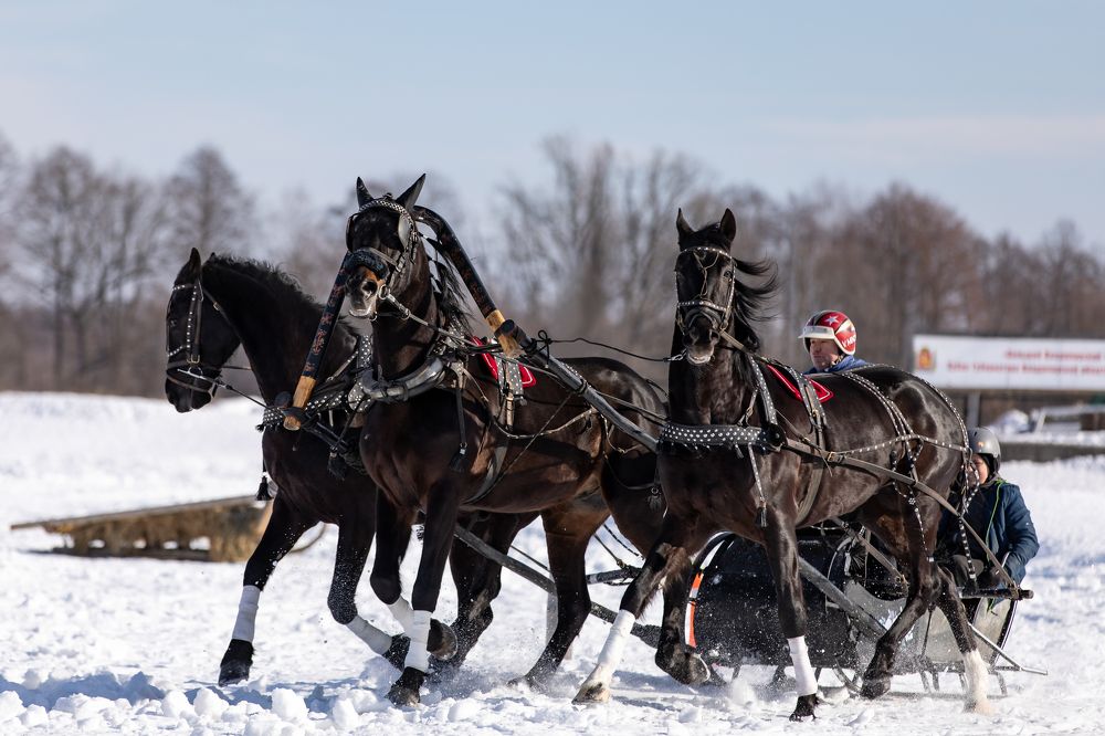 Photograph by Спесивцева Эльмира