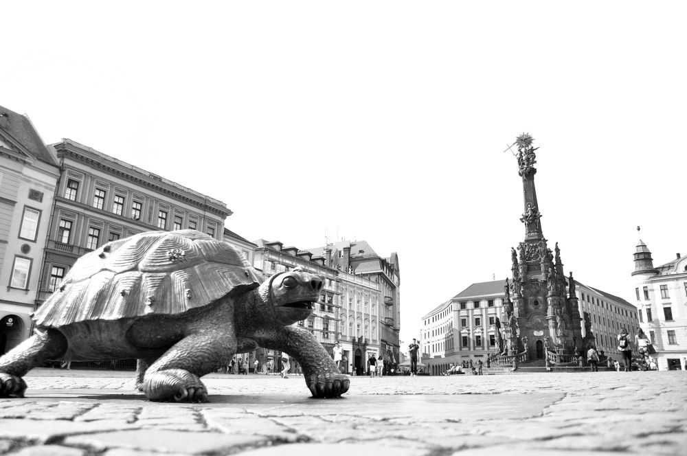 Photograph by Максим Ильин