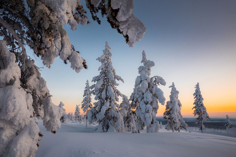 Photograph by Зарышнюк Роман