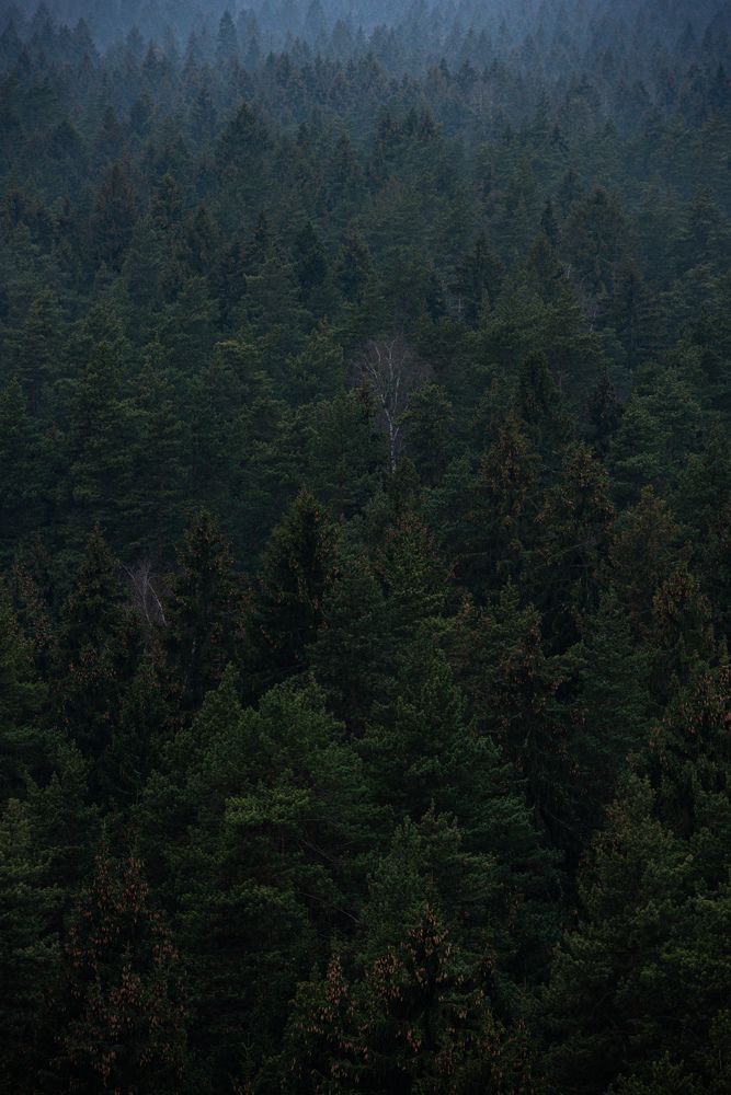 Photograph by Ekaterina Krylova