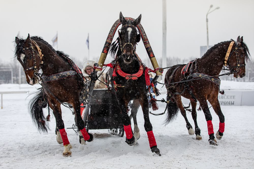 Photograph by Спесивцева Эльмира