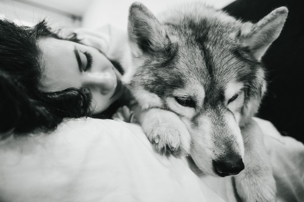 Дневной сон