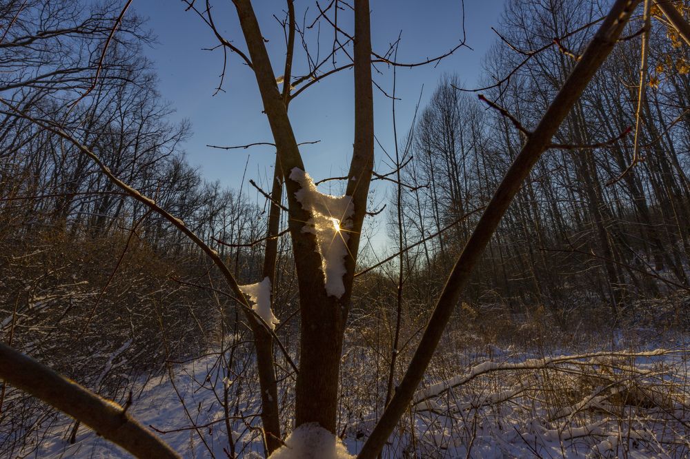 Photograph by Яна Толмачёва