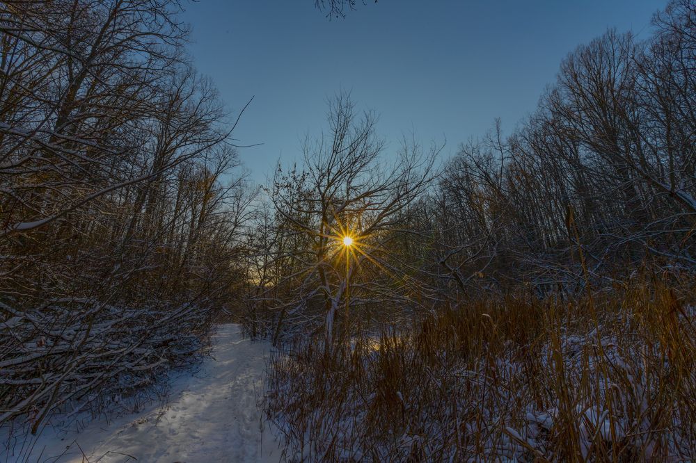 Photograph by Яна Толмачёва