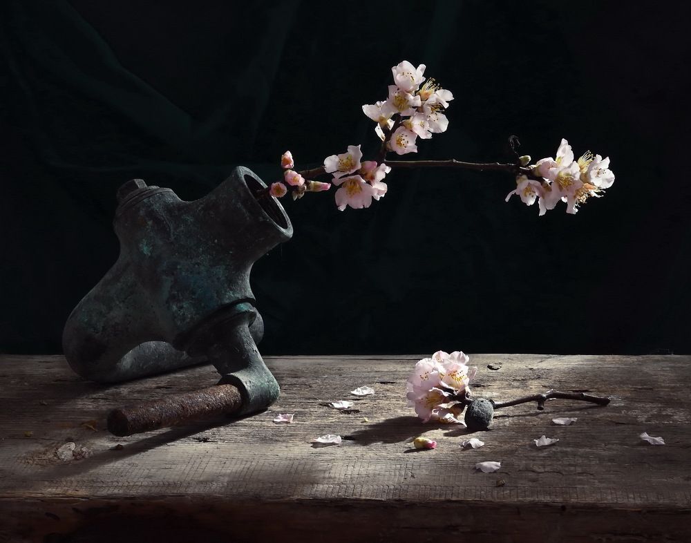 Реверанс весны