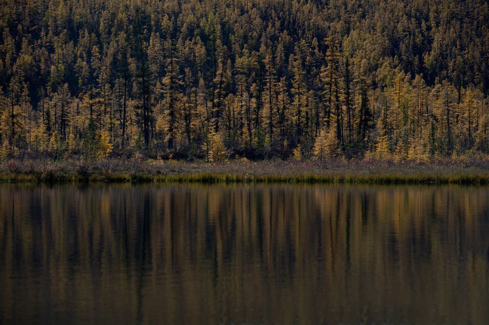 Фотография автора Дмитрий Ляшеев