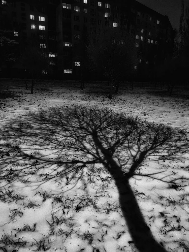 Photograph by Leanid Kulpo