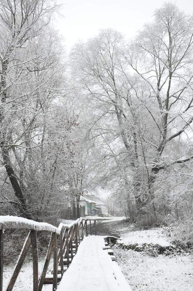 Photograph by Галина Лысых