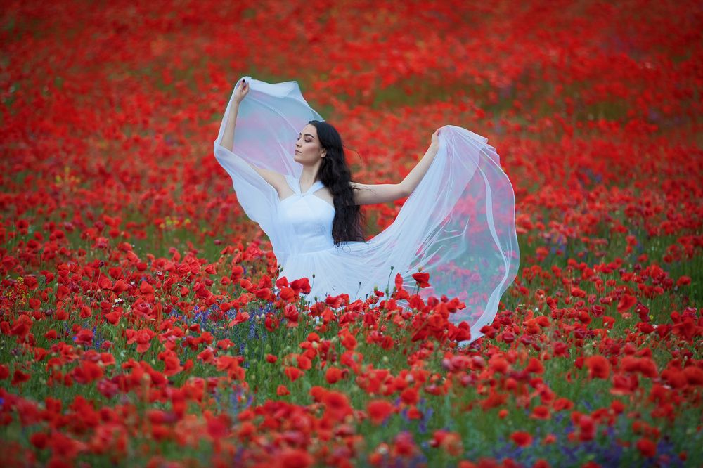 Photograph by Julia Stuckert