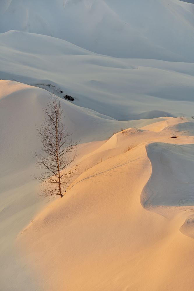 Photograph by Алексей Петров