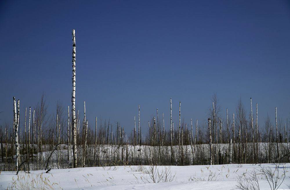 Photograph by Измаил Ефимов