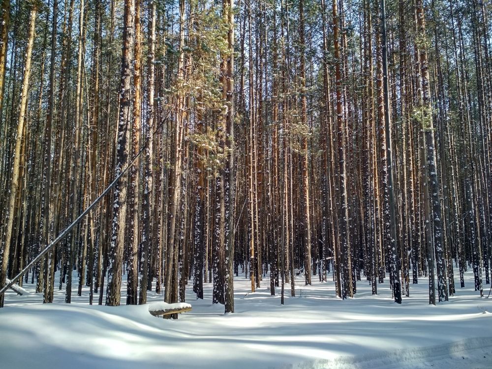 Photograph by Ольга Васильева