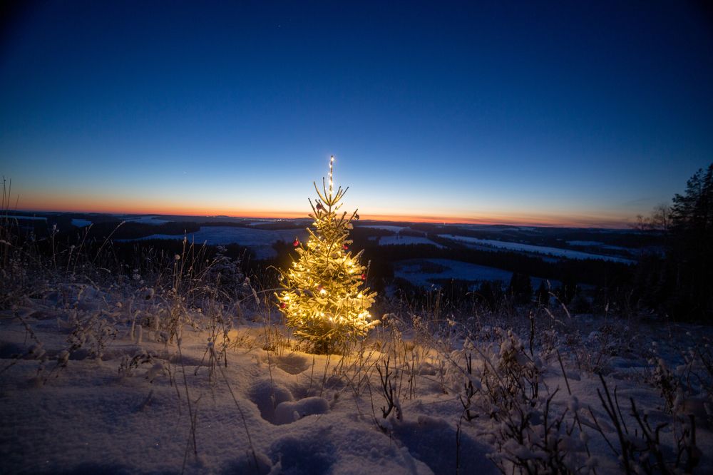 Фотография автора Сергей Ульихин