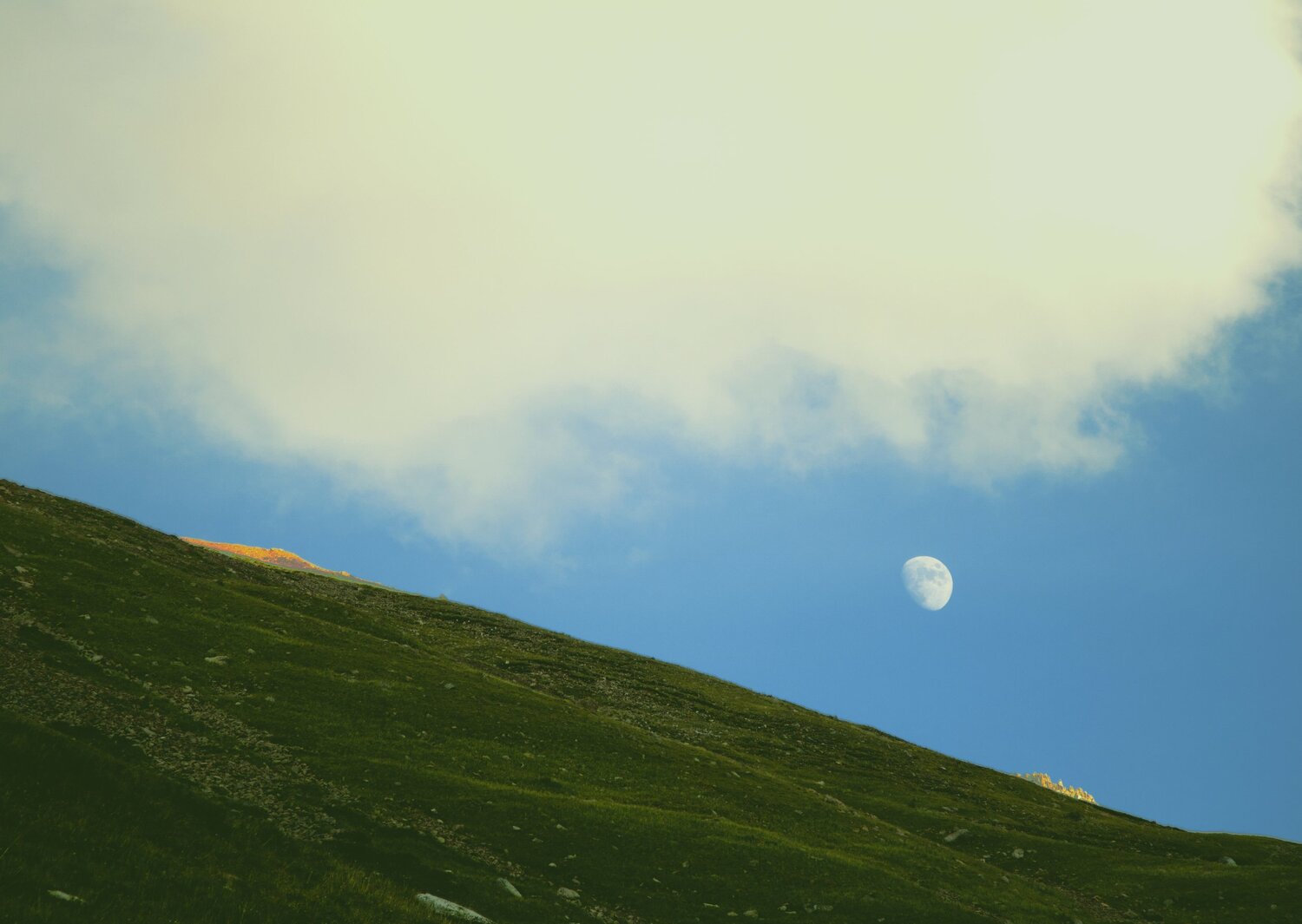 Photo #5919014