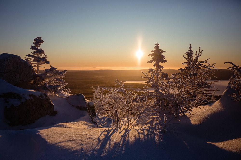 Фотография автора Светлана Тимис