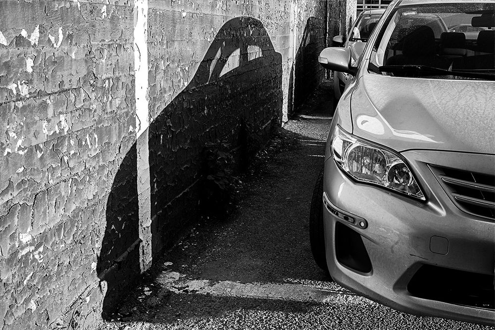 Фотография автора Bobus