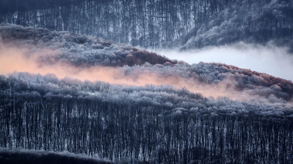 Photograph by Валерий