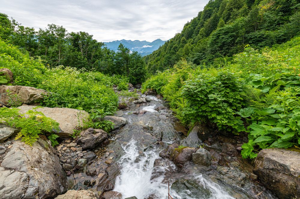 Photograph by Антон Жирнов