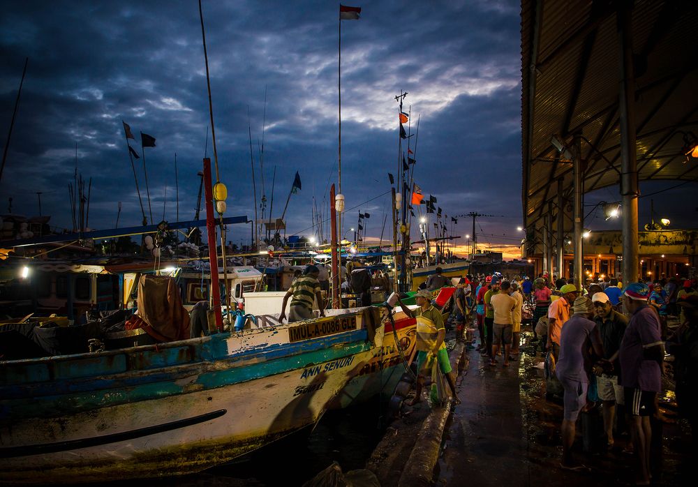 Рыбный рынок, Шри-Ланка.