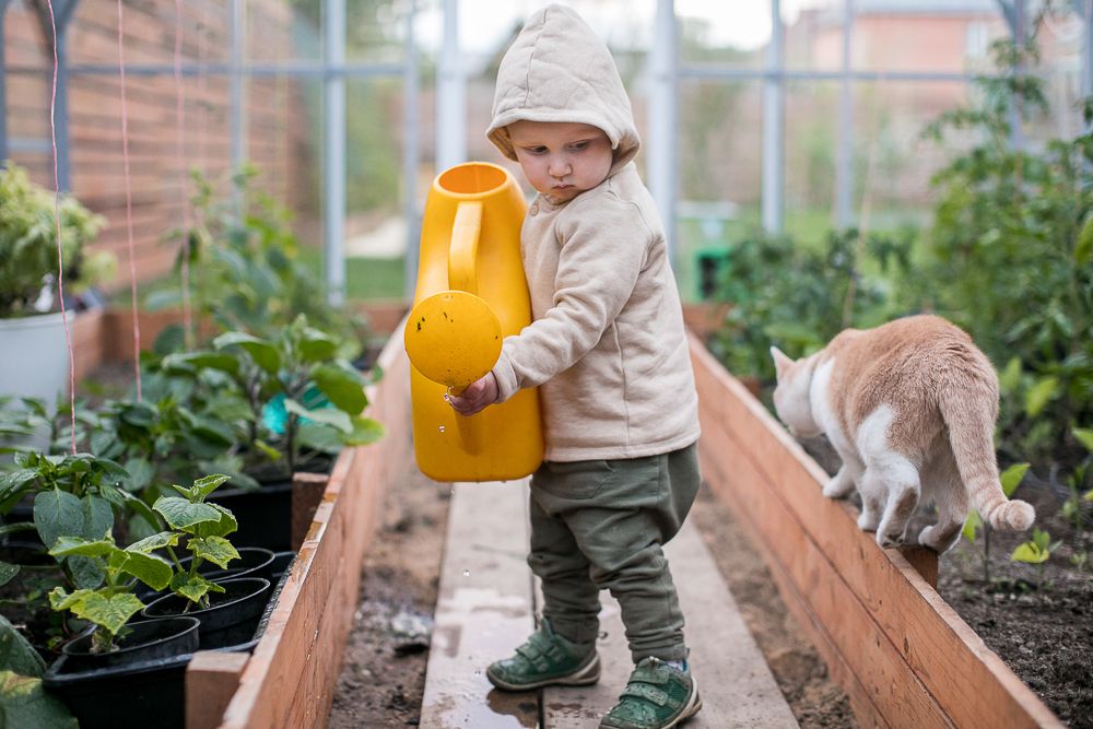 Photograph by Анна Воронихина