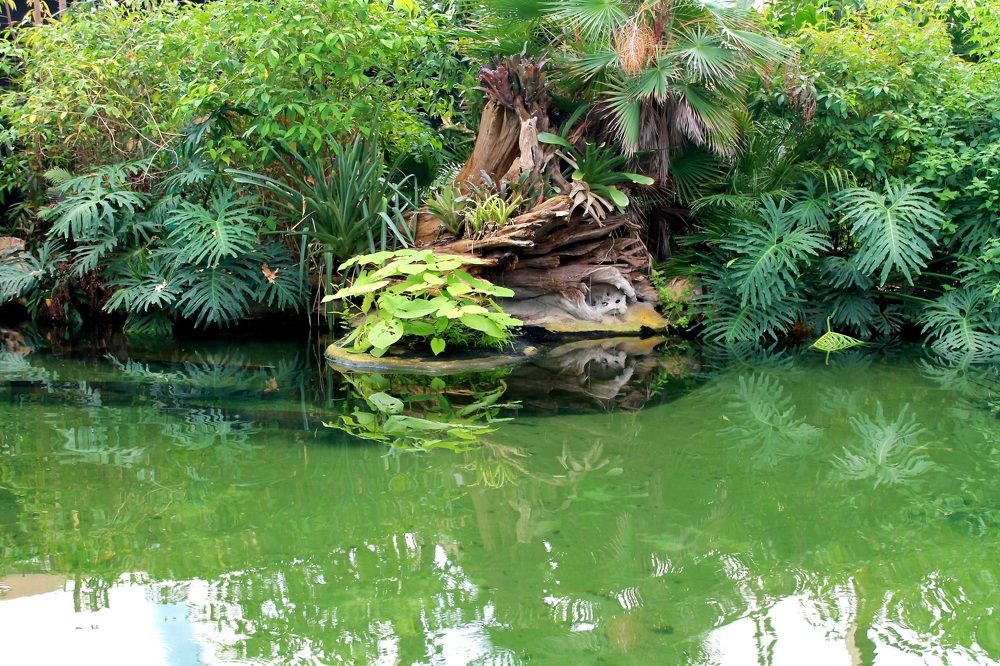 Photograph by Natalija Bucinska