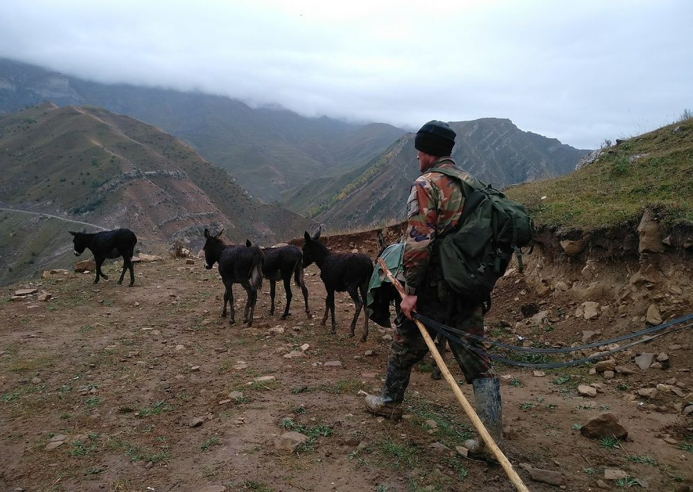 Photograph by Татьяна Рябова