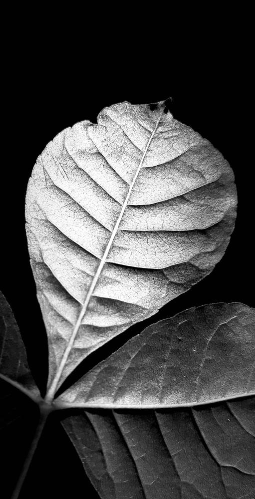 Photograph by Валерия Павличук